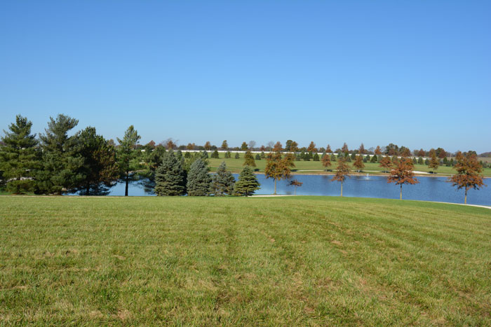 The Aviary Recovery Center - grounds and lakes