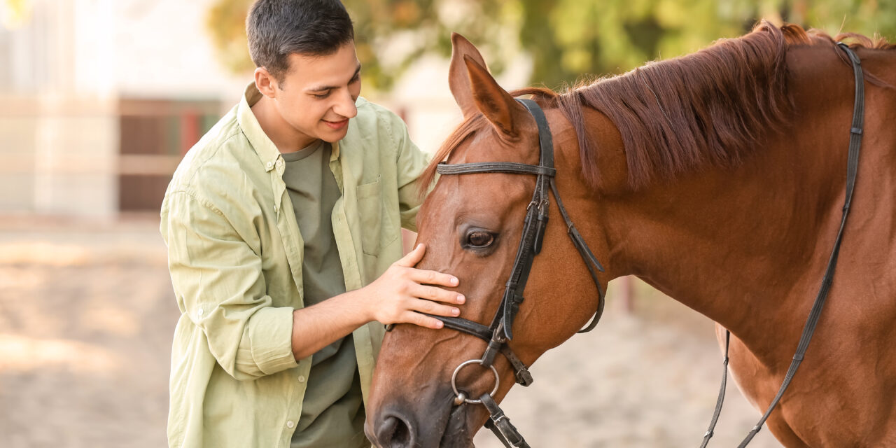 Horses Can Help Veterans and First Responders